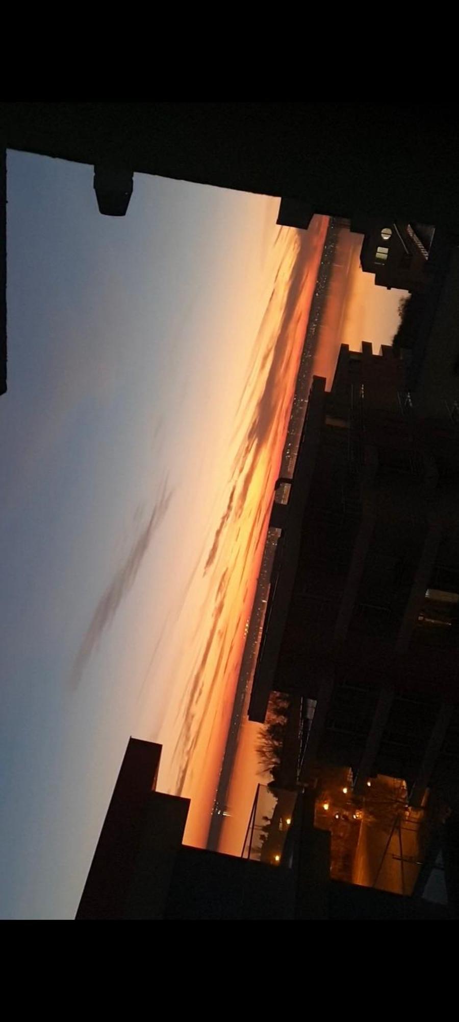 Bluemarina Apartamente Mamaia Oda fotoğraf
