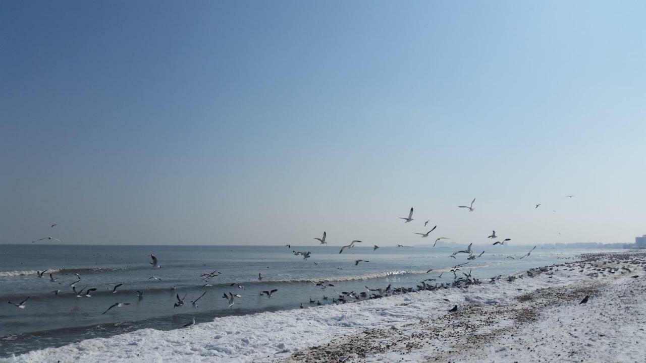 Bluemarina Apartamente Mamaia Dış mekan fotoğraf